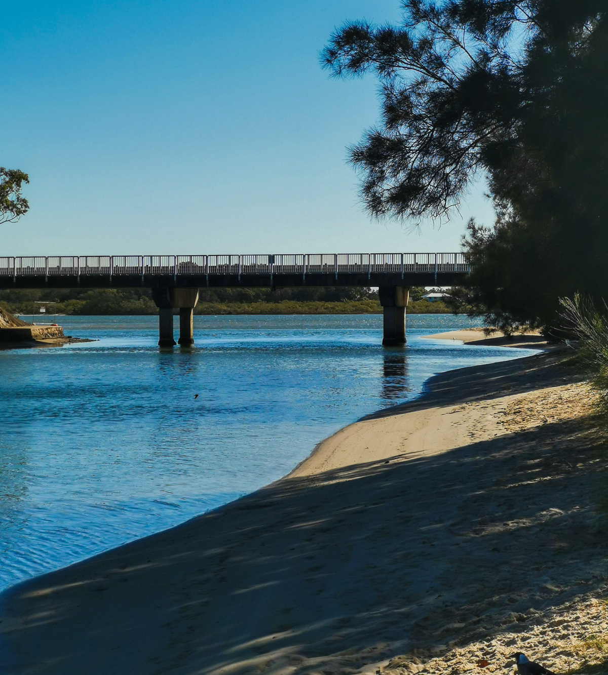 Picnic Point Loop Adventure Sunshine Coast